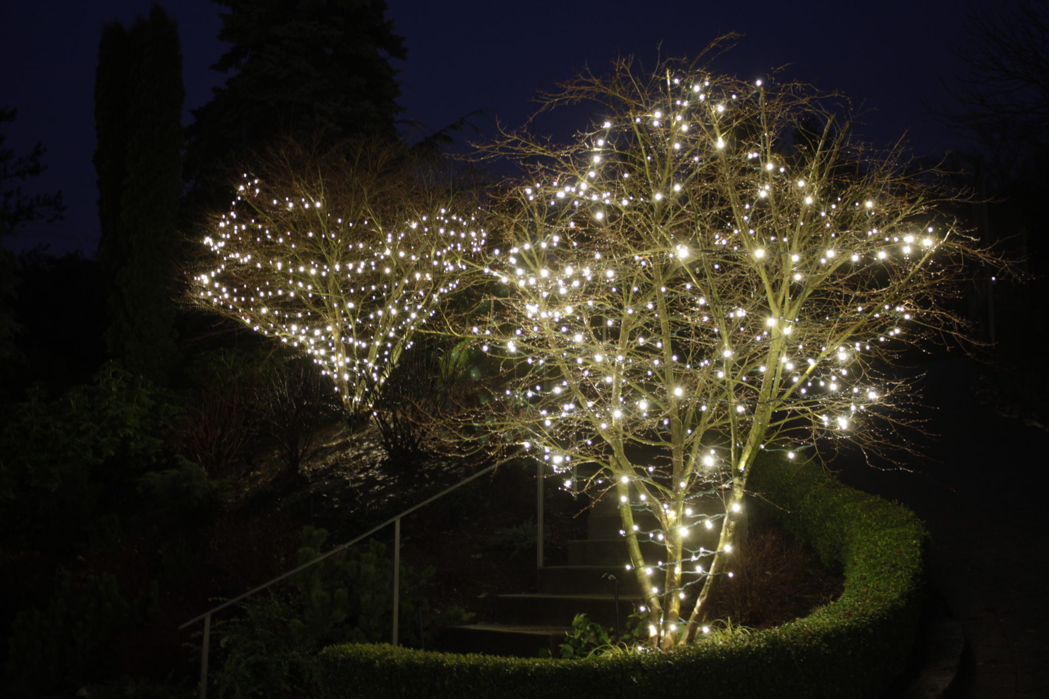 how to install christmas lights on a tree light knights how to install christmas lights on a tree light knights
